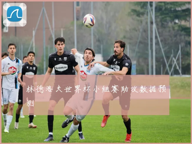 林德洛夫世界杯小组赛助攻数据预测