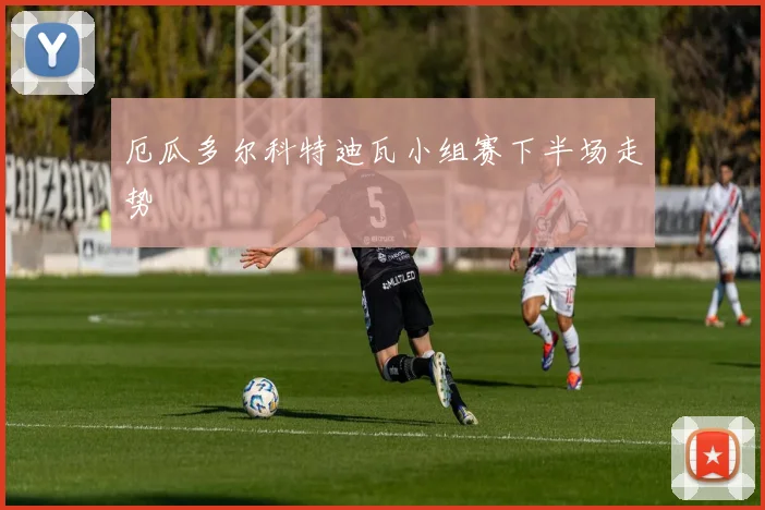 厄瓜多尔科特迪瓦小组赛下半场走势