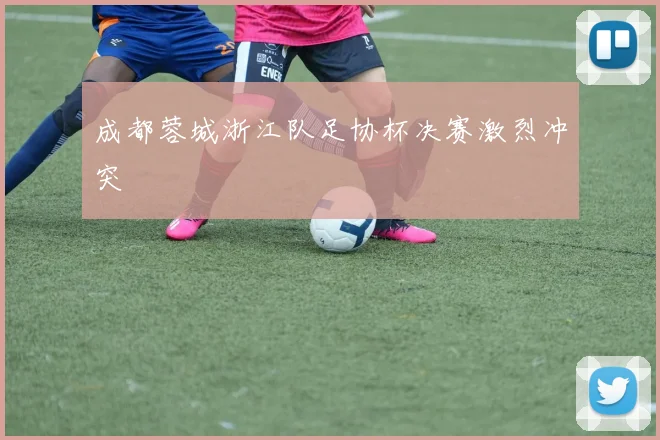 成都蓉城浙江队足协杯决赛激烈冲突