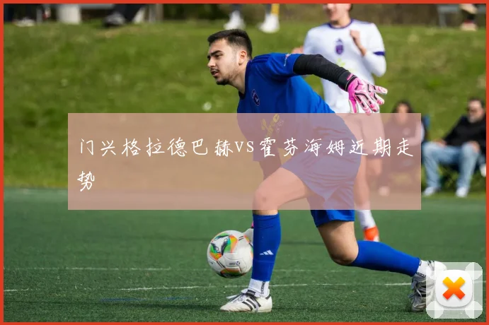 门兴格拉德巴赫vs霍芬海姆近期走势